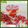 wholesale dried goji